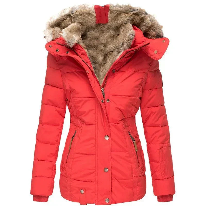 Celinda Elegant Winter Jacket